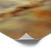 Poster Dinde mâle, Illinois (Coin)