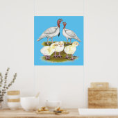 Poster Dinde Mini Blanche Familiale (Cuisine)