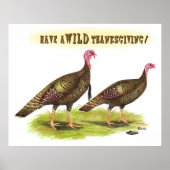 Poster Dinde sauvage Thanksgiving (Devant)