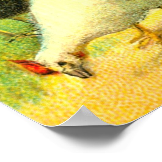 Poster Dindons et poulets d'art (Coin)