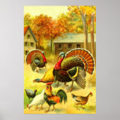 Poster Dindons et poulets d'art (Devant)