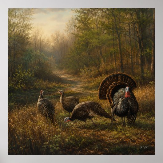Poster Dindons sauvages dans la forêt automnale (Devant)