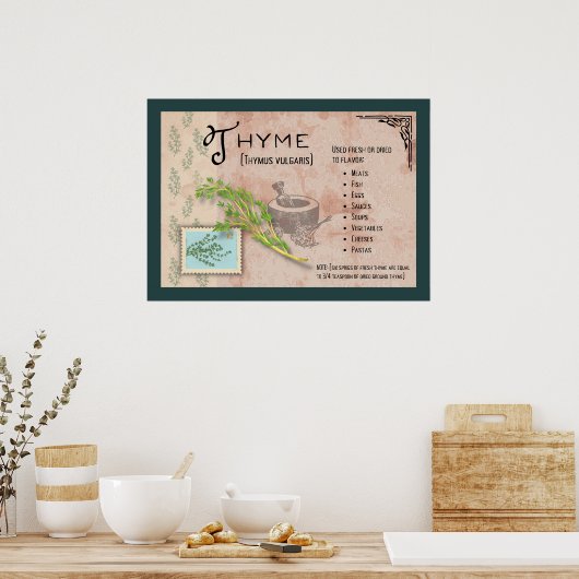 Poster d'information botanique sur l'herbe de thym (Cuisine)