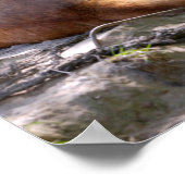 Poster Dingo lying on rock postcard metal ornament T-Shir (Coin)