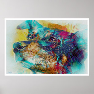Poster Dingo rêve chien merveilleux Portrait