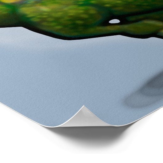 Poster Dino Bronco (Coin)