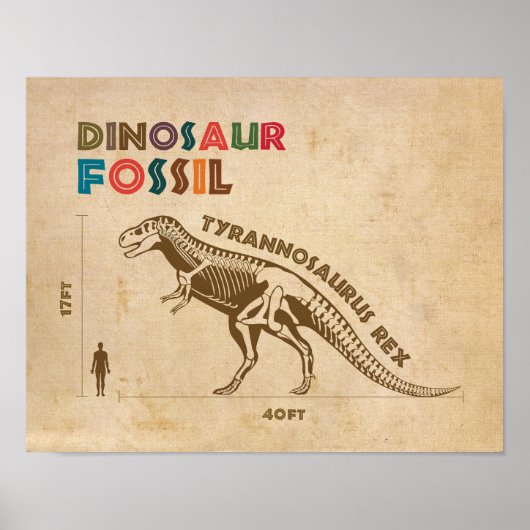 Poster Dinosaur Fossil 4 (Devant)