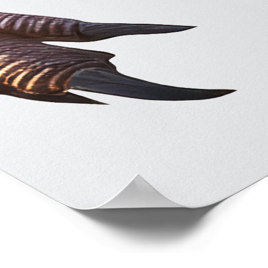 Poster Dinosaur Imaginaire (Coin)