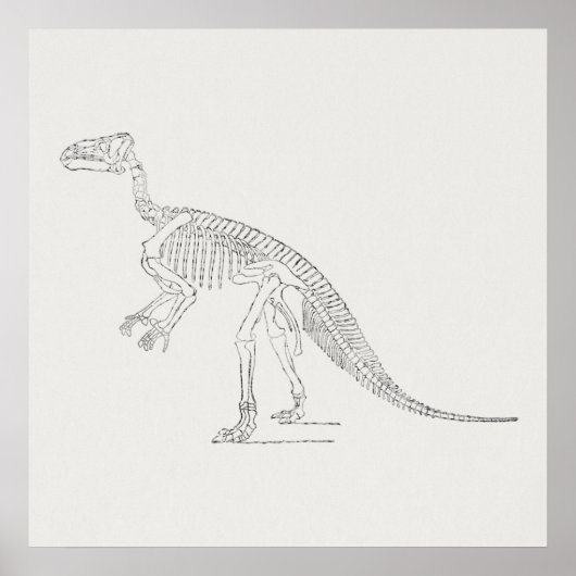Poster Dinosaur Skeleton Art (Devant)