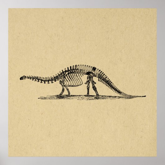 Poster Dinosaur Skeleton Art Vintage (Devant)