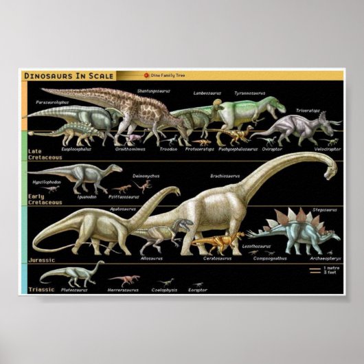 Poster Dinosaur Timeline Biology (Devant)