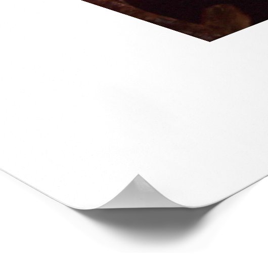 Poster Dinosaure (Coin)