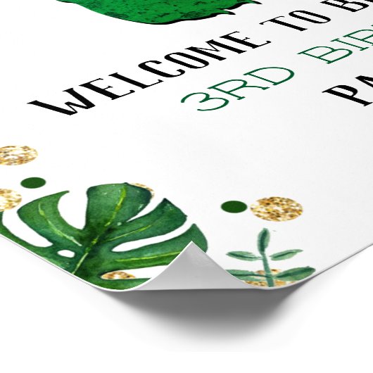 Poster Dinosaure 3rd Birthday Welcome (Coin)