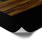 Poster Dinosaure Daspletosaurus Greg Paul (Coin)