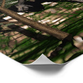 Poster Dinosaure de Ceratosaurus - rendu 3D (Coin)