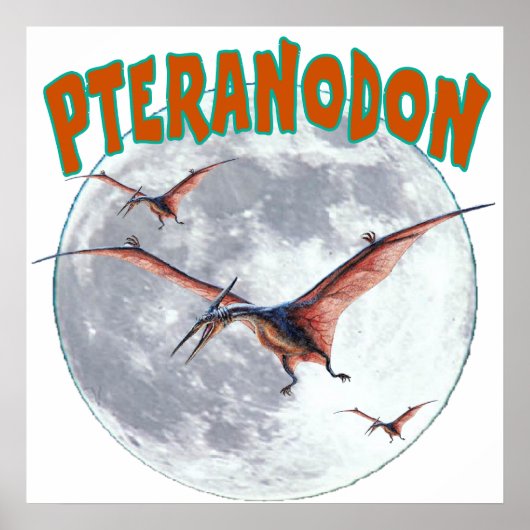 Poster Dinosaure de Pteranodon (Devant)