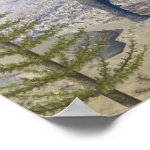 Poster Dinosaure de Stegosaurus - rendu 3D (Coin)