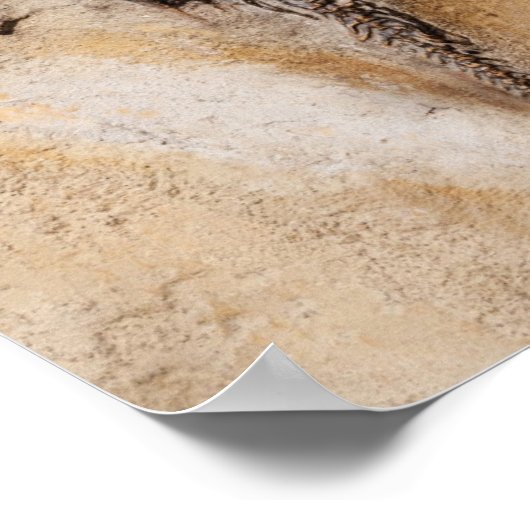 Poster Dinosaure Fossil (Coin)