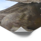 Poster Dinosaure personnalisé (Coin)