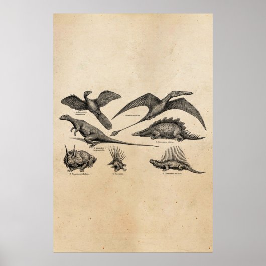 Poster Dinosaure vintage Illustration Dinosaures rétro (Devant)