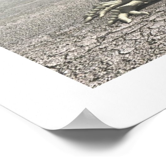 Poster Dinosaures (Coin)