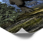 Poster dinosaures du Centrosaurus marchant parmi les magn (Coin)