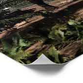 Poster dinosaures Einiosaurus dans le désert - rendu 3D (Coin)