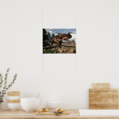 Poster dinosaures Einiosaurus dans le désert - rendu 3D (Cuisine)