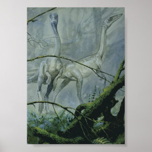 Poster Dinosaures Vintage, Megapnosaurus alias Syntarsus