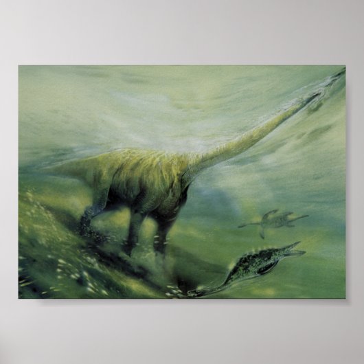 Poster Dinosaures vintages, Brachiosaurus Nager dans l'oc (Devant)