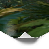 Poster Dinosaurus Fun Prehistory (Coin)