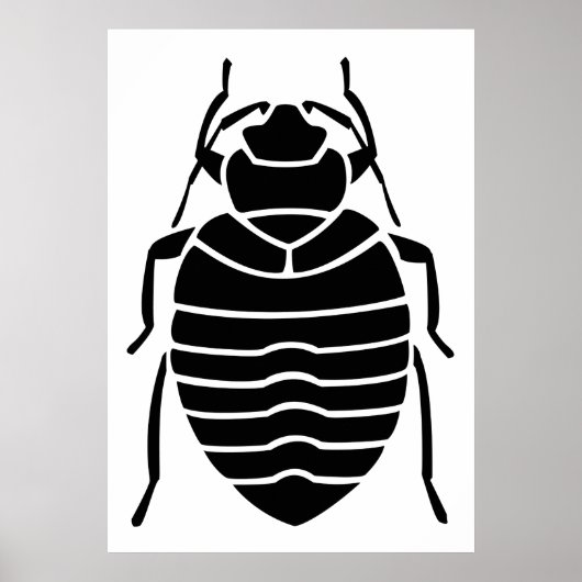 Poster d'insectes de Bedbug noir (Devant)