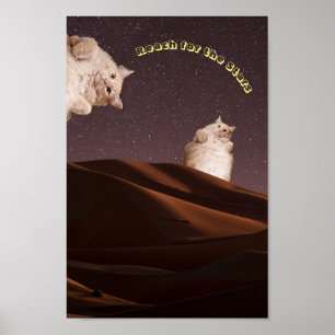 Poster d'inspiration pour chats amusants