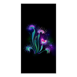 Poster Dionaea piège lumineux