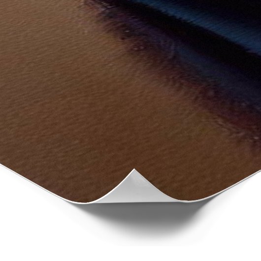 Poster Diplômé en chat (Coin)