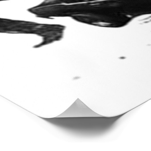 Poster Directeur Tarantino (Coin)