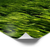 Poster Direction des anges (Coin)