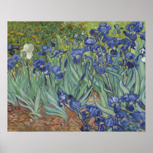 Poster d'Irises
