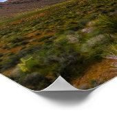Poster Dirt Road to Red Rocks (Coin)