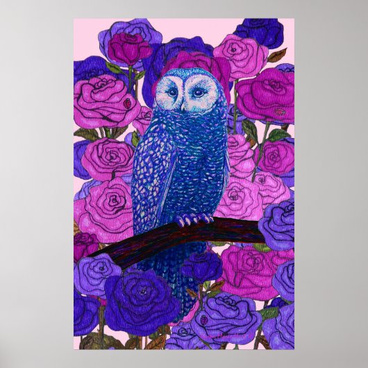 Poster Discerning Owl (Devant)