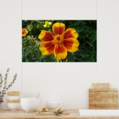 Poster Disco Marigold Orange et Rouge Fleur d'été (Cuisine)