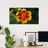 Poster Disco Marigold Orange et Rouge Fleur d'été (Bureau à domicile)