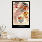 Poster Discomedusae - Plaque 8 - Kunstformen der Natur (Cuisine)