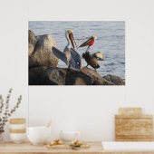 Poster Discussions pélicanes - ou était-ce une plaisanter (Cuisine)