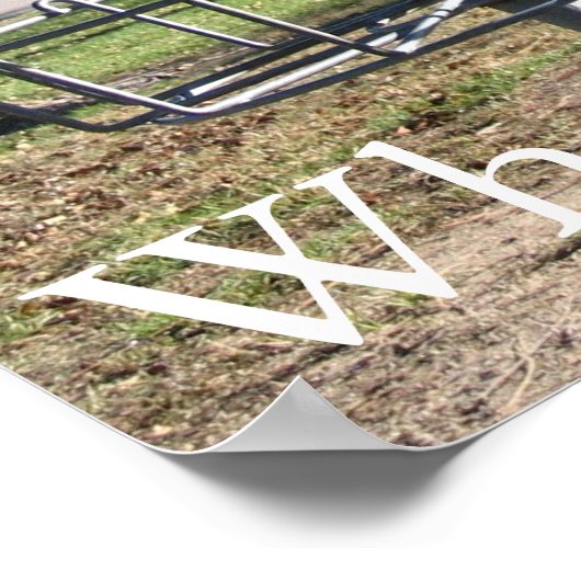 Poster Disk Golf (Coin)