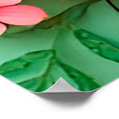 Poster Disposition de fleurs en papier coloré (Coin)