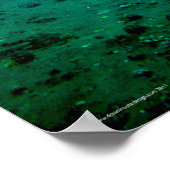 Poster Disque (Coin)