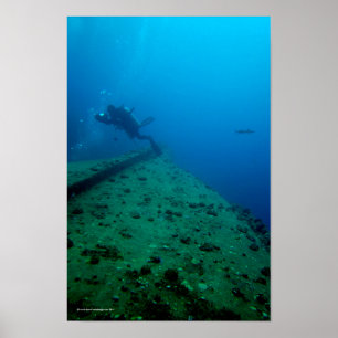 Poster Disque