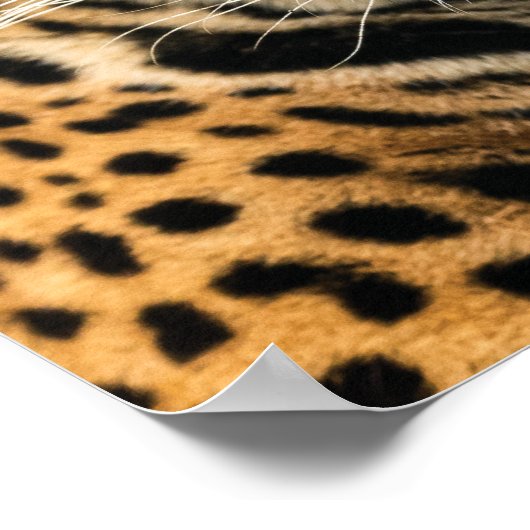 Poster Distractions de faim, Focus alimentation - Succès (Coin)