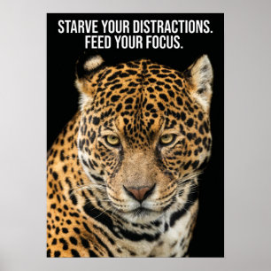 Poster Distractions de faim, Focus alimentation - Succès 